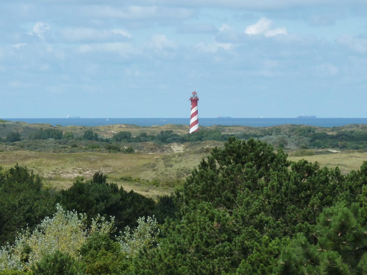 Camping Ginsterveld เบิร์กฮามสเตเดอ ภายนอก รูปภาพ